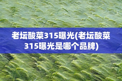 老坛酸菜315曝光(老坛酸菜315曝光是哪个品牌)