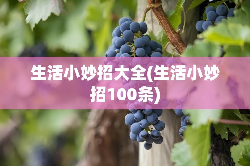 生活小妙招大全(生活小妙招100条)