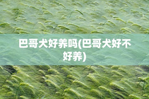 巴哥犬好养吗(巴哥犬好不好养)