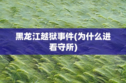 黑龙江越狱事件(为什么进看守所)