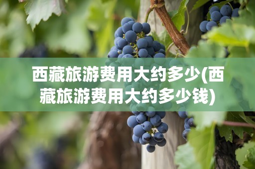 西藏旅游费用大约多少(西藏旅游费用大约多少钱)