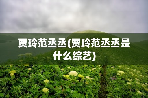 贾玲范丞丞(贾玲范丞丞是什么综艺)