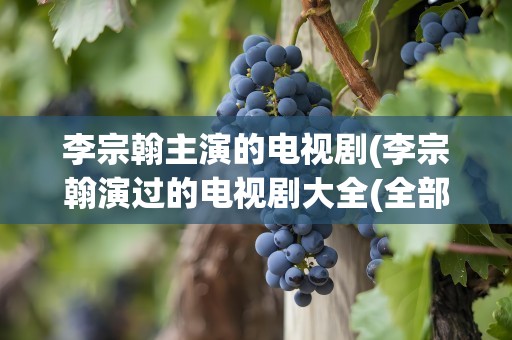 李宗翰主演的电视剧(李宗翰演过的电视剧大全(全部))