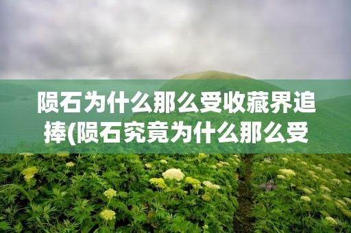 陨石为什么那么受收藏界追捧(陨石究竟为什么那么受收藏界追捧)