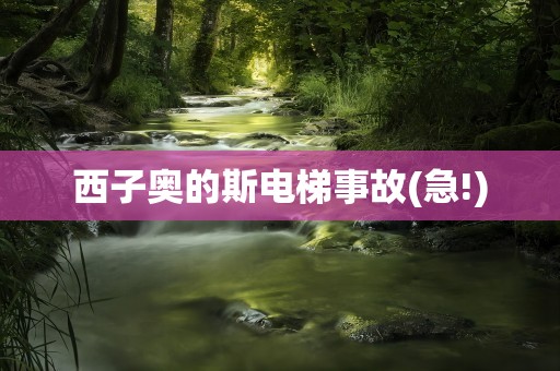 西子奥的斯电梯事故(急!)