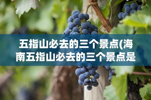 五指山必去的三个景点(海南五指山必去的三个景点是)