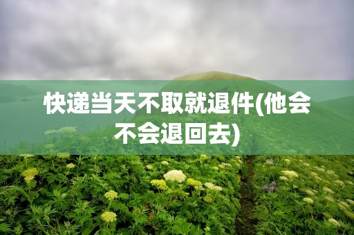 快递当天不取就退件(他会不会退回去)