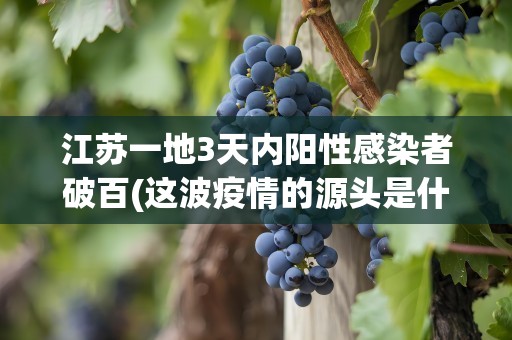 江苏一地3天内阳性感染者破百(这波疫情的源头是什么)