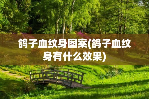 鸽子血纹身图案(鸽子血纹身有什么效果)