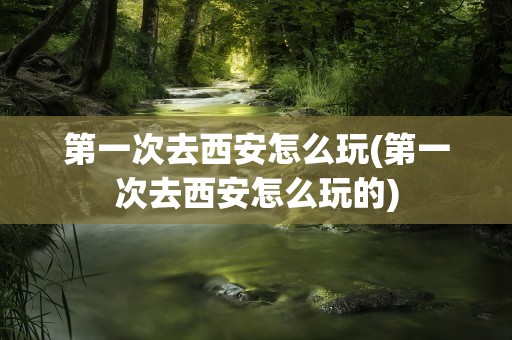 第一次去西安怎么玩(第一次去西安怎么玩的)