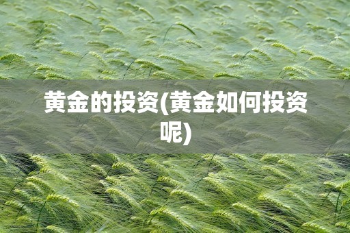 黄金的投资(黄金如何投资呢)