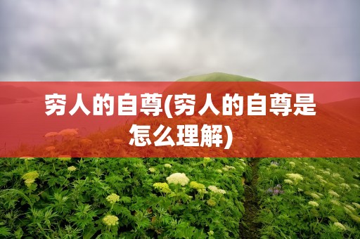 穷人的自尊(穷人的自尊是怎么理解)