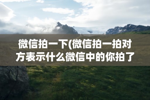 微信拍一下(微信拍一拍对方表示什么微信中的你拍了拍对方是什么意思)