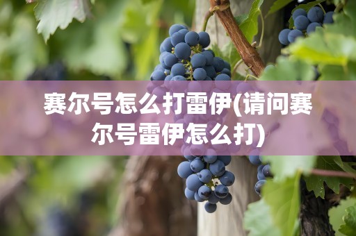 赛尔号怎么打雷伊(请问赛尔号雷伊怎么打)
