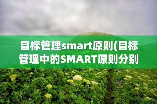 目标管理smart原则(目标管理中的SMART原则分别指什么)