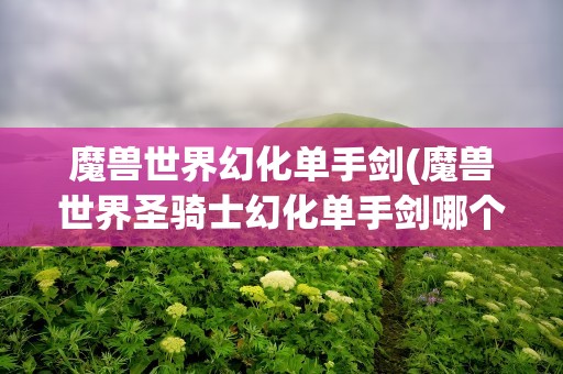 魔兽世界幻化单手剑(魔兽世界圣骑士幻化单手剑哪个好看)
