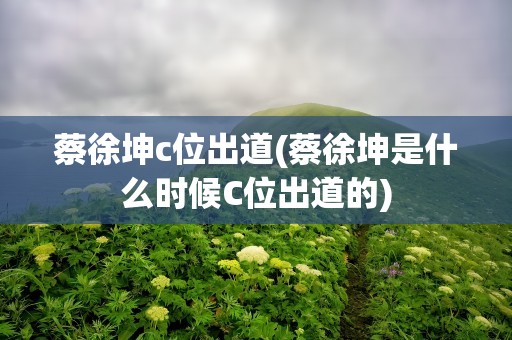 蔡徐坤c位出道(蔡徐坤是什么时候C位出道的)
