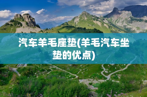 汽车羊毛座垫(羊毛汽车坐垫的优点)