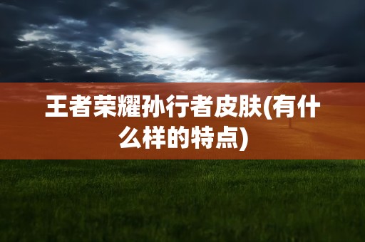 王者荣耀孙行者皮肤(有什么样的特点)
