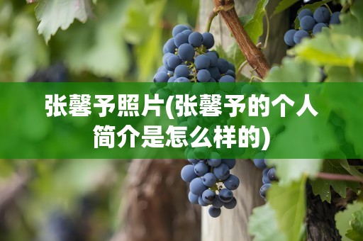 张馨予照片(张馨予的个人简介是怎么样的)