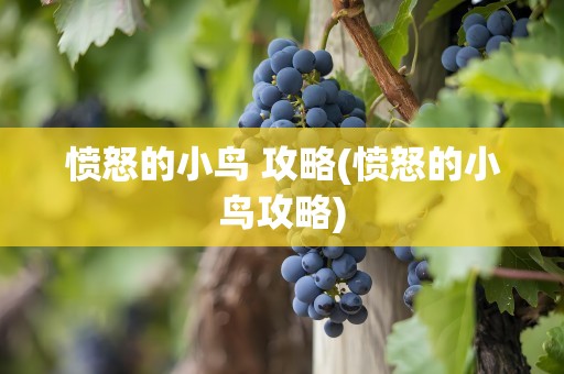 愤怒的小鸟 攻略(愤怒的小鸟攻略)