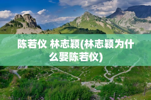 陈若仪 林志颖(林志颖为什么娶陈若仪)