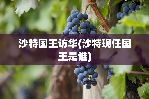 沙特国王访华(沙特现任国王是谁)