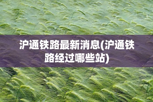 沪通铁路最新消息(沪通铁路经过哪些站)