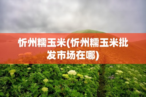 忻州糯玉米(忻州糯玉米批发市场在哪)