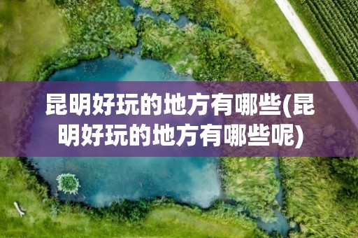 昆明好玩的地方有哪些(昆明好玩的地方有哪些呢)