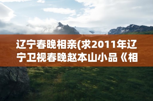 辽宁春晚相亲(求2011年辽宁卫视春晚赵本山小品《相亲》台词)