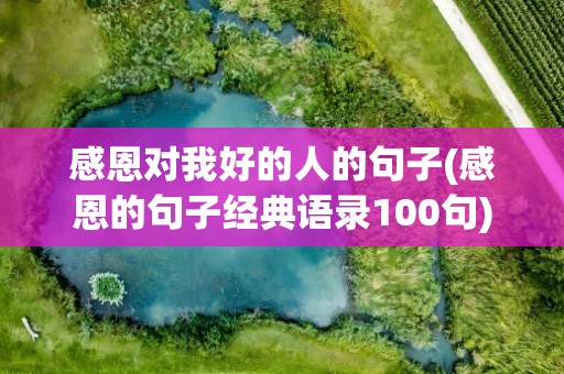 感恩对我好的人的句子(感恩的句子经典语录100句)