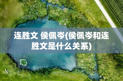 连胜文 侯佩岑(侯佩岑和连胜文是什么关系)