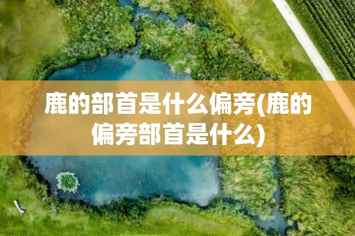 鹿的部首是什么偏旁(鹿的偏旁部首是什么)