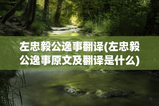 左忠毅公逸事翻译(左忠毅公逸事原文及翻译是什么)