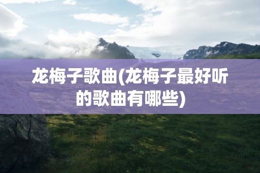 龙梅子歌曲(龙梅子最好听的歌曲有哪些)