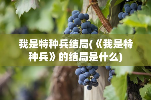 我是特种兵结局(《我是特种兵》的结局是什么)