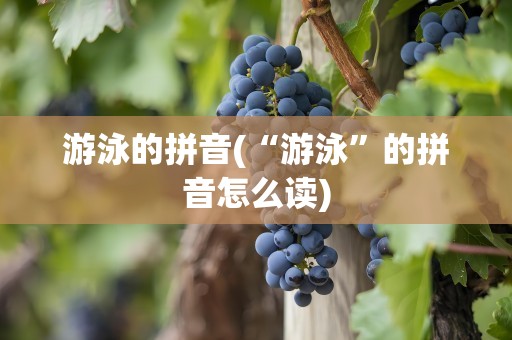 游泳的拼音(“游泳”的拼音怎么读)