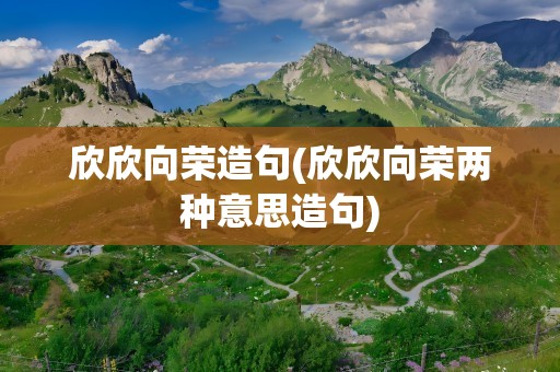 欣欣向荣造句(欣欣向荣两种意思造句)