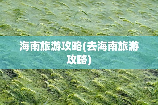 海南旅游攻略(去海南旅游攻略)