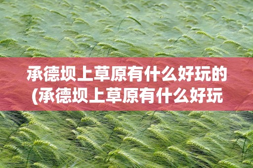承德坝上草原有什么好玩的(承德坝上草原有什么好玩的吗)
