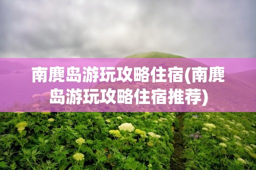 南麂岛游玩攻略住宿(南麂岛游玩攻略住宿推荐)