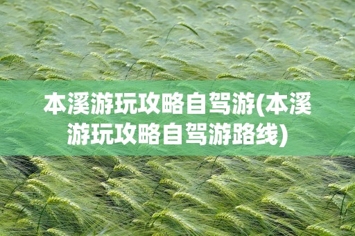 本溪游玩攻略自驾游(本溪游玩攻略自驾游路线)
