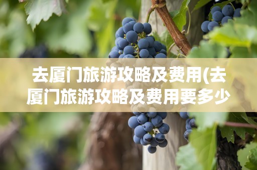 去厦门旅游攻略及费用(去厦门旅游攻略及费用要多少)