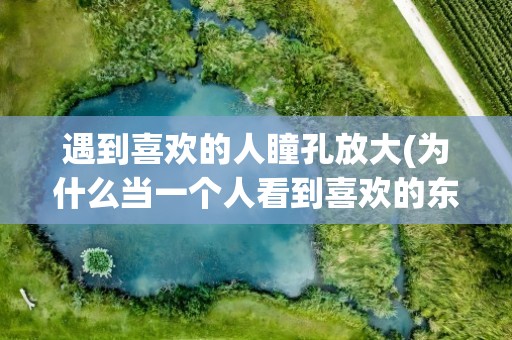 遇到喜欢的人瞳孔放大(为什么当一个人看到喜欢的东西瞳孔会放大)