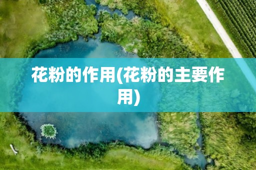 花粉的作用(花粉的主要作用)