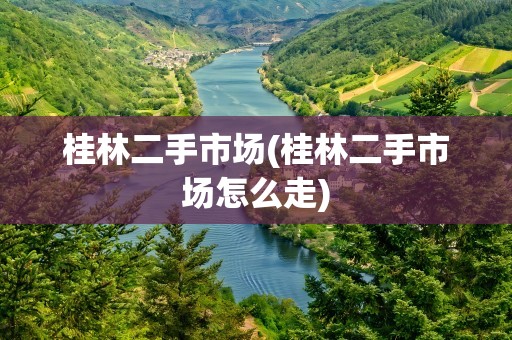 桂林二手市场(桂林二手市场怎么走)