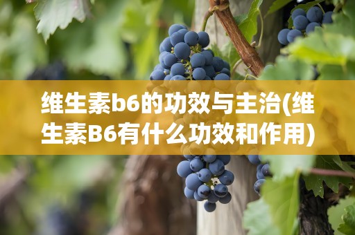 维生素b6的功效与主治(维生素B6有什么功效和作用)