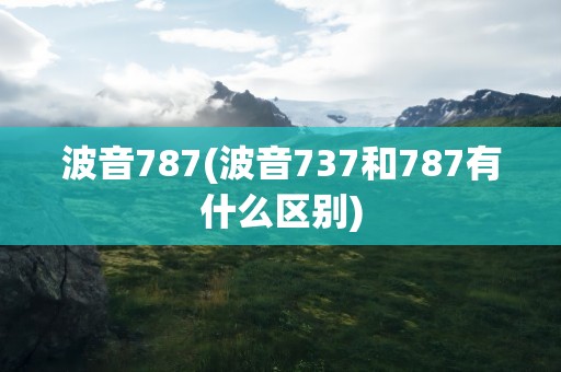 波音787(波音737和787有什么区别)