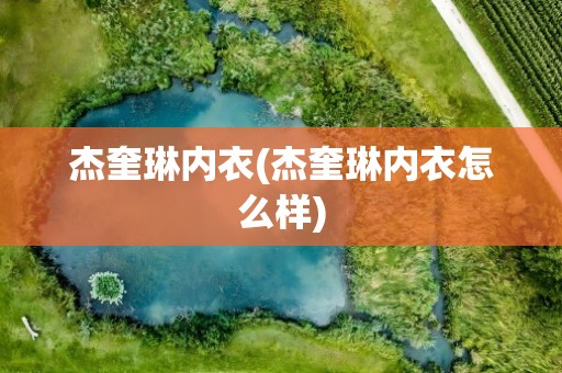 杰奎琳内衣(杰奎琳内衣怎么样)